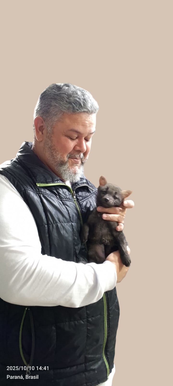 Trabalho de taxidermia de Eliseu Souza Pinto